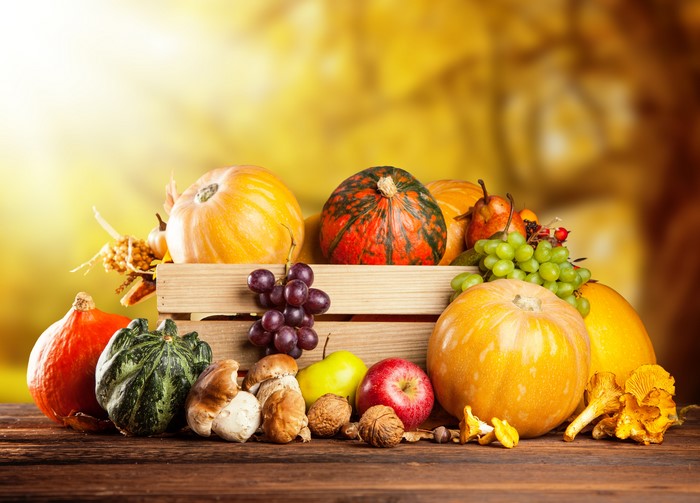 Autumn harvest of pumpkins, grapes, mushrooms, and fruit