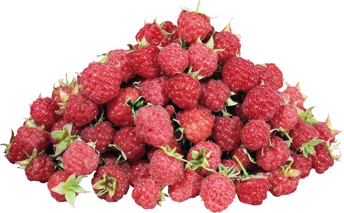 Pile of Fresh Raspberries