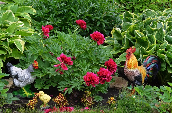 Garden with Peonies, Chicken, and Rooster Statues