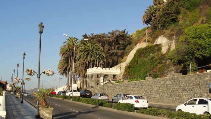 Street in Valparaiso, Chile with palm trees and a stone wall