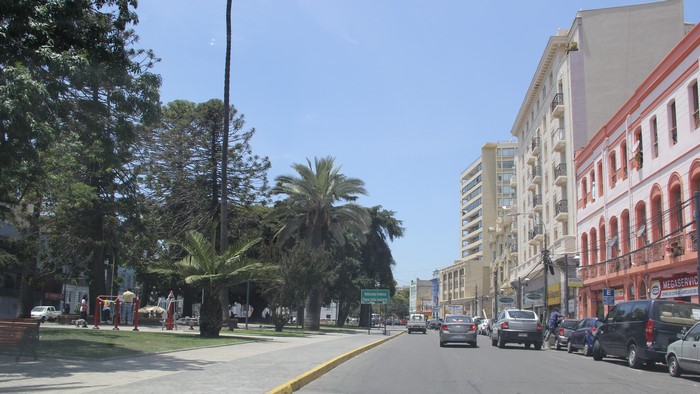 Street in Valparaiso, Chile with palm trees and buildings