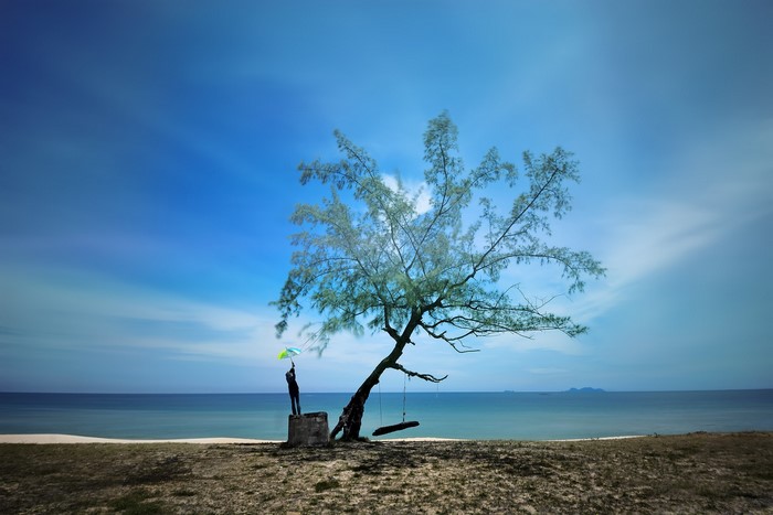 Person with umbrella under a tree by the sea