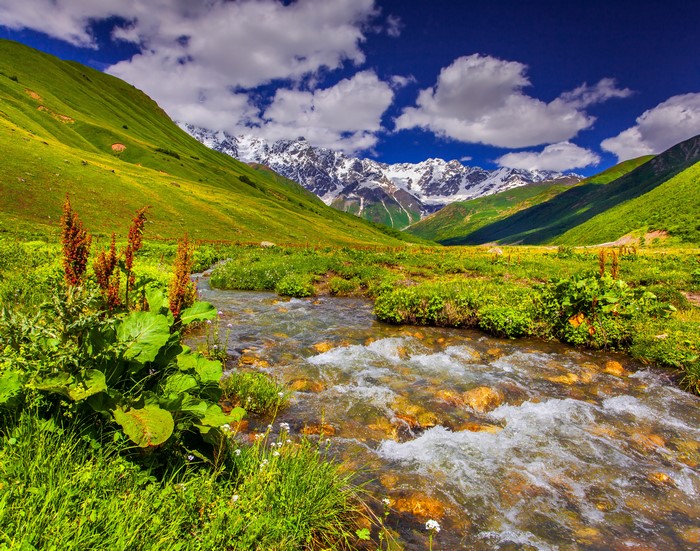 River flowing through a green valley with snow-capped mountains
