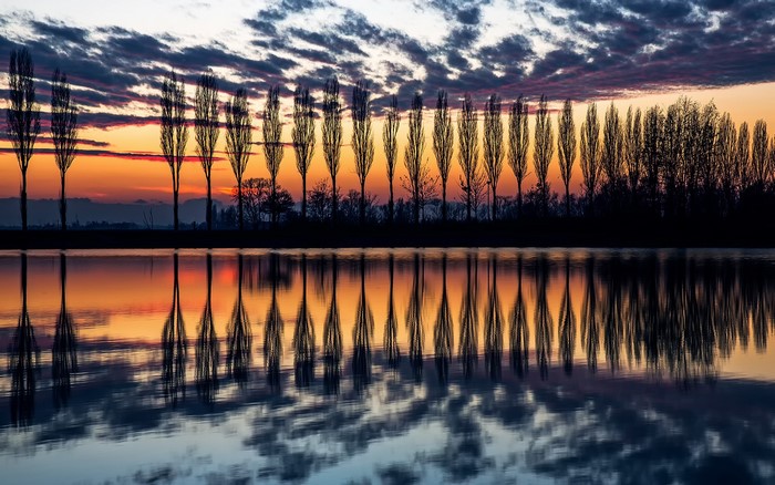 Trees reflected in water at sunset in Italy