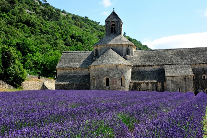 Abbey of Sénanque with lavender field