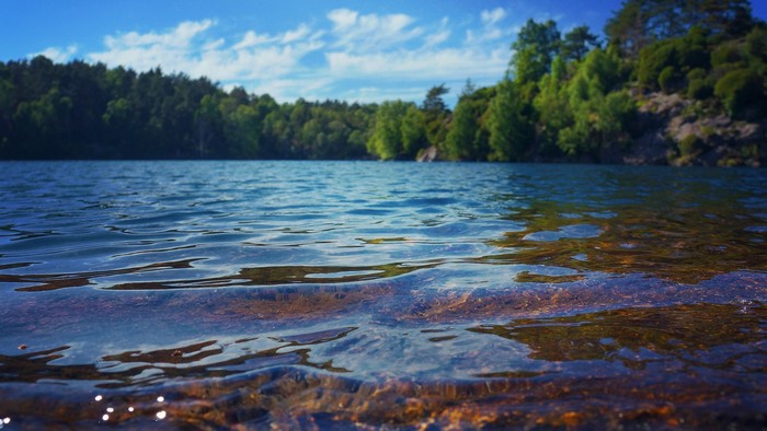 Lake with Forest and Blue Sky