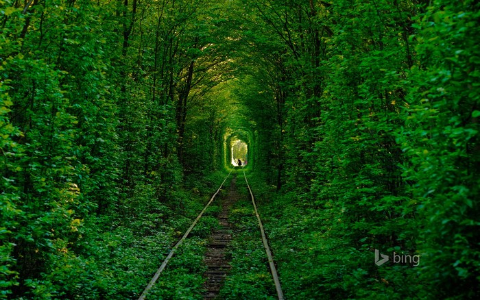 Tunnel of Love, Klevan, Ukraine