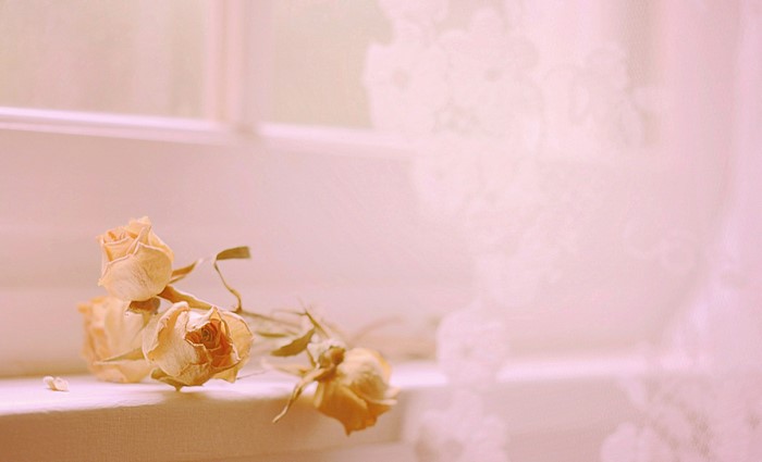 Dried roses on a windowsill