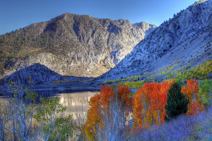 Autumn foliage by a lake in the Eastern Sierra, California