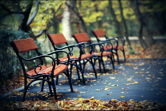 Autumn park with benches and fallen leaves