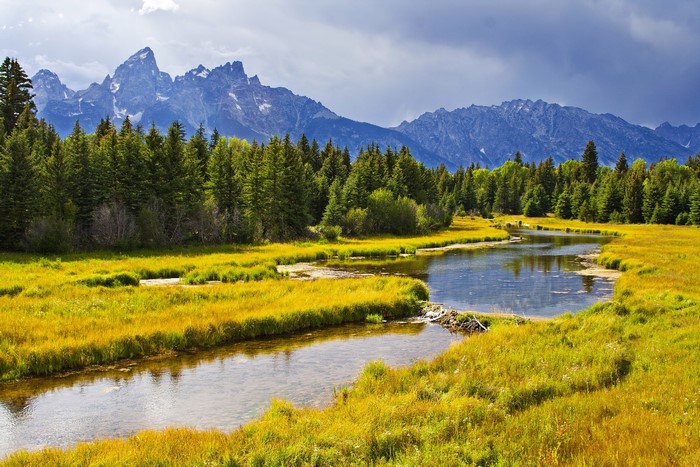 River flowing through a meadow with mountains and forest