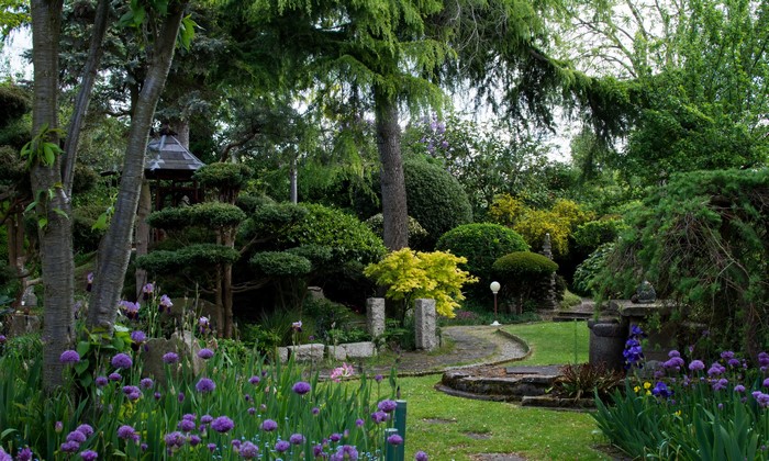 Japanese Garden with Purple Flowers and Gazebo