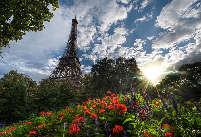 Eiffel Tower with Flowers and Sun Rays