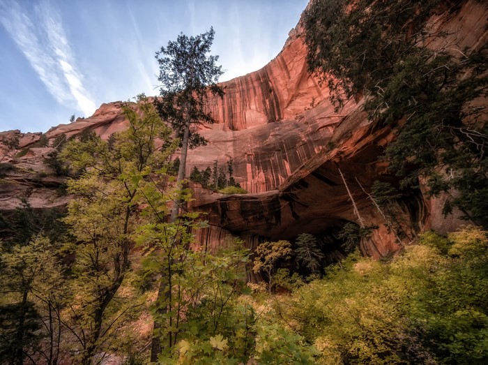 Cave carved into a red rock cliff with trees