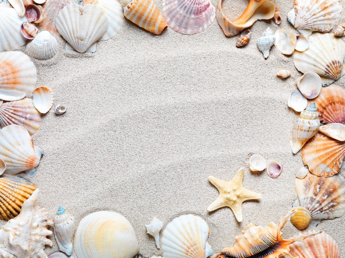 4K Sand and Seashells with Starfish Closeup