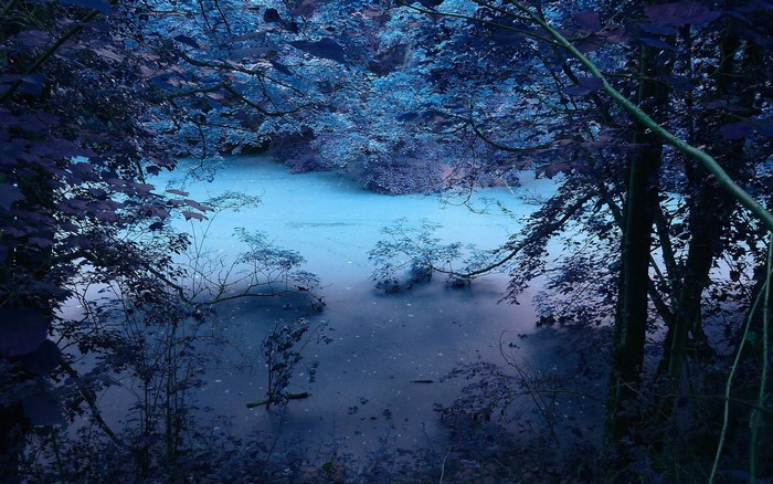 Blue forest with a river