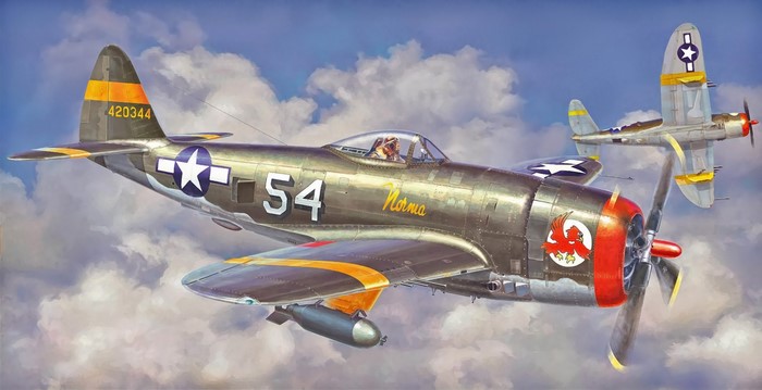 P-47 Thunderbolt WWII American Fighter Planes