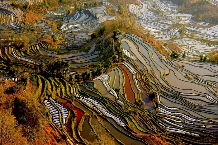 Terraced Rice Fields in Yunnan, China