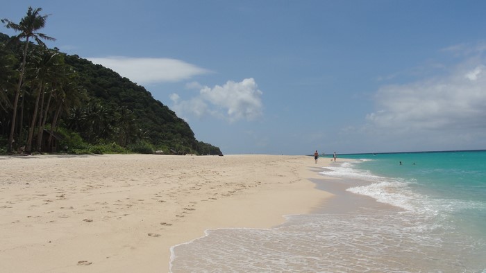 Boracay Beach with Palm Trees and Turquoise Water