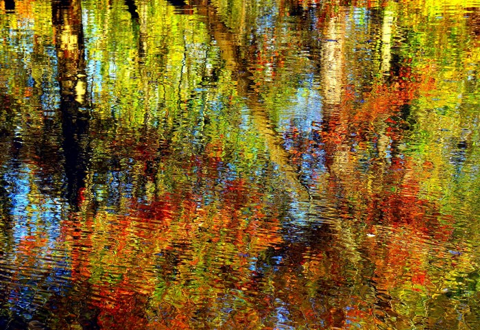 Autumn Reflections on Rippling Water