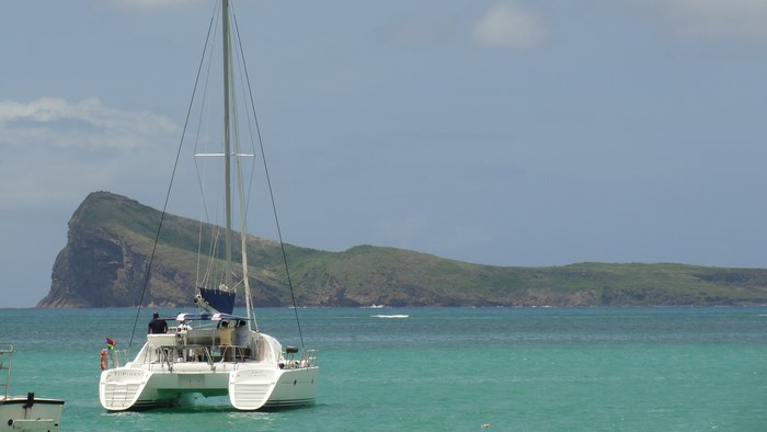 Catamaran sailing near a tropical island
