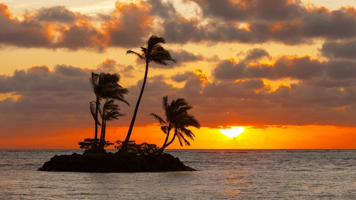 Island with palm trees at sunset