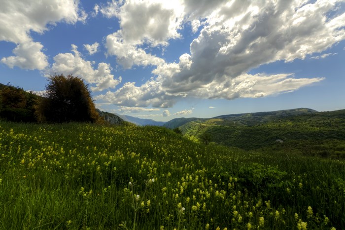 4K Scenery of Fields and Sky with Clouds