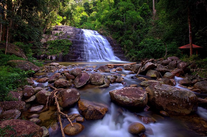 Waterfall cascading over rocks in a lush forest