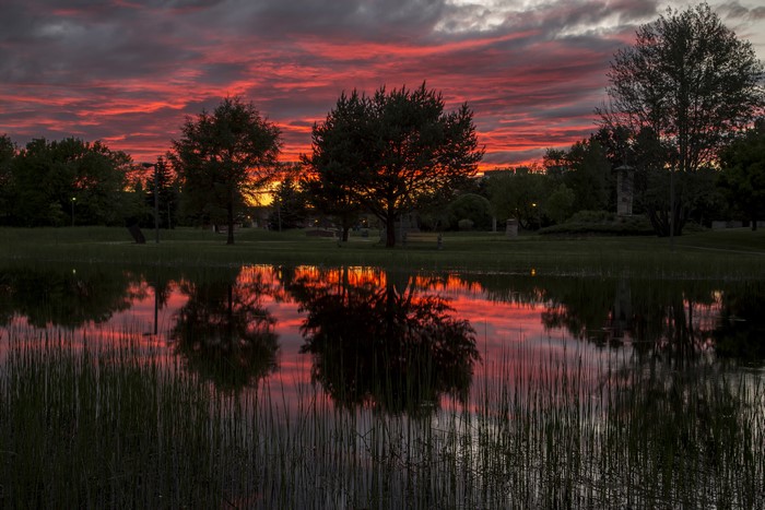 Lake with trees during a vibrant sunset