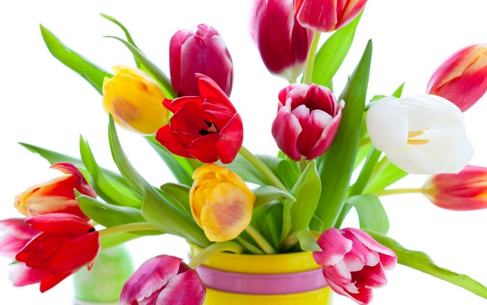 Colorful Tulips in a Yellow Vase