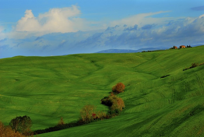 Rolling green hills in Tuscany, Italy