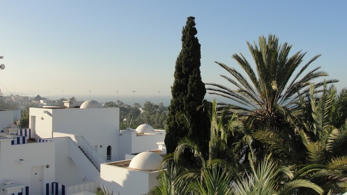 White buildings and palm trees in Agadir, Morocco