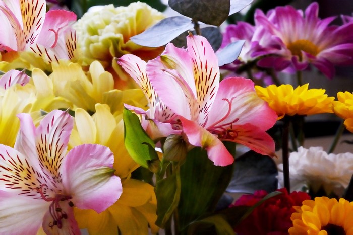 Close-up of a bouquet of colorful lilies and chrysanthemums