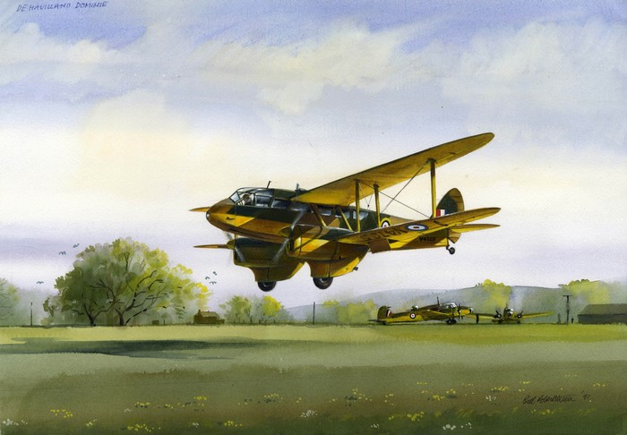 De Havilland Dominie Biplane in Flight