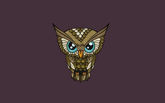 Cute Owl Vector Graphic