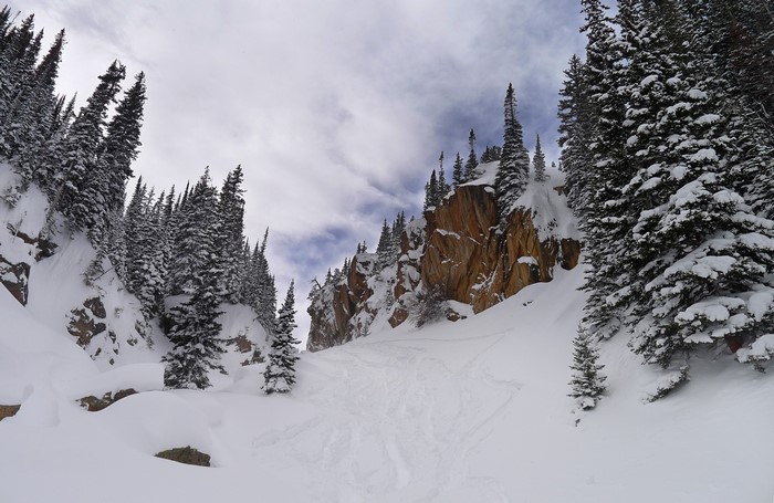 Snowy mountain slope with pine trees and rocky cliffs