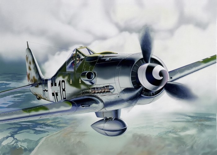 Fw 190 D-9 WWII German Airplane in Flight