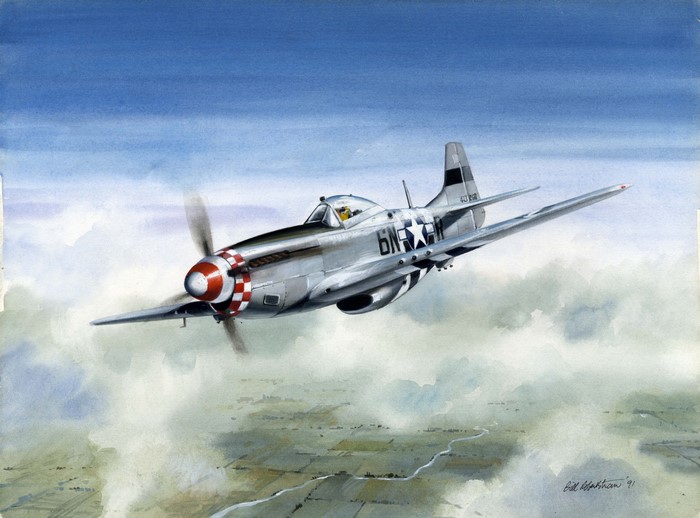 North American P-51 Mustang in flight