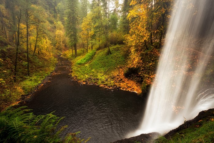 Autumn Waterfall in a Forest