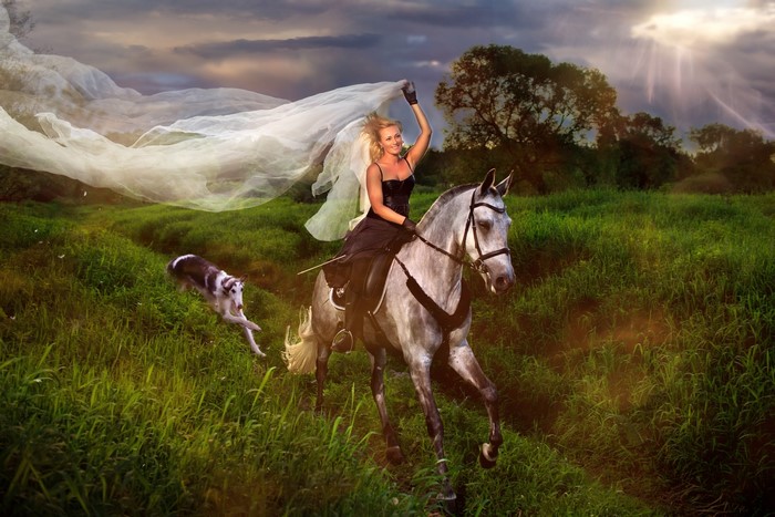 Woman riding a horse with a dog in a grassy field