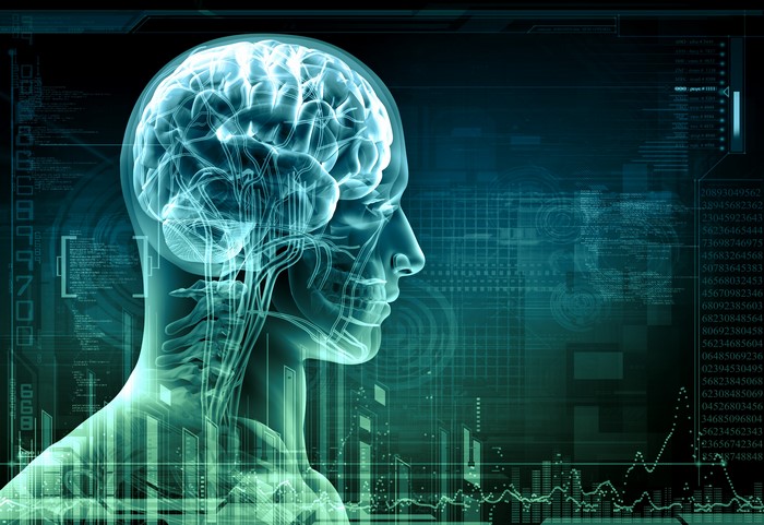 Digital Brain and Data Visualization