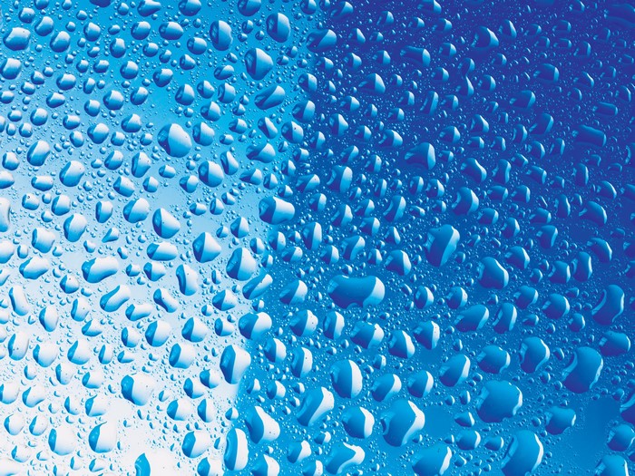 Water Drops Texture