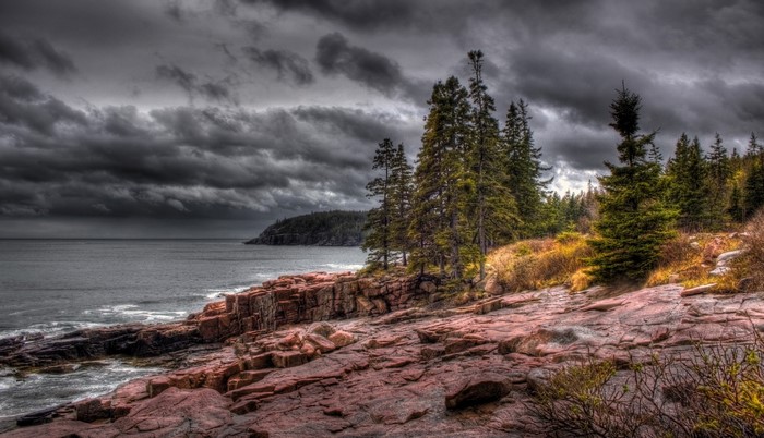 Rocky Coastline with Pine Trees Under Stormy Clouds