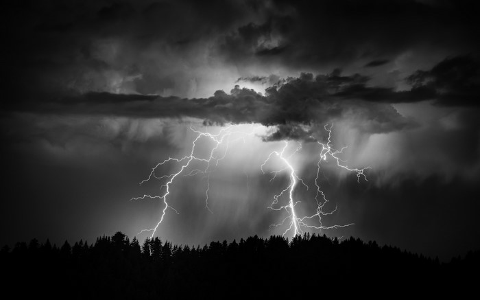 Lightning strikes over a forest at night