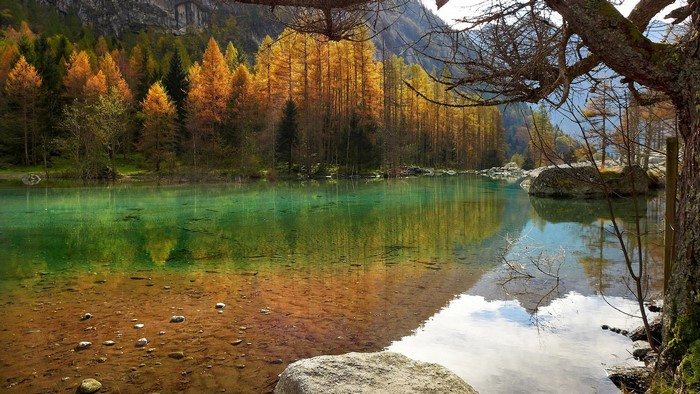 Lake with autumn trees and mountains