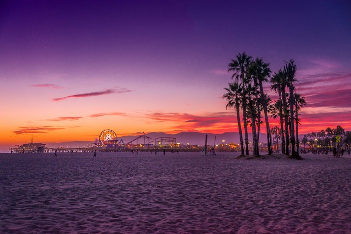 Santa Monica Pier at sunset with palm trees