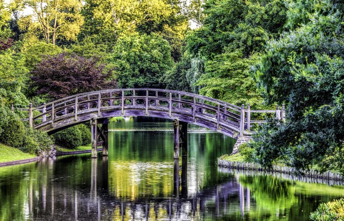 Wooden bridge over a river at Missouri Botanical Garden