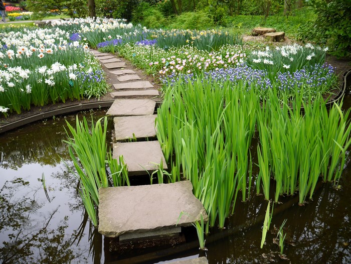 Stepping stones across a pond in Keukenhof Gardens, Netherlands