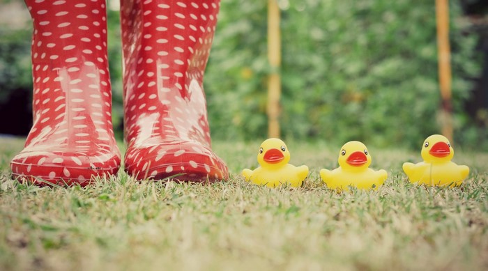 Red polka dot boots and rubber ducks on grass