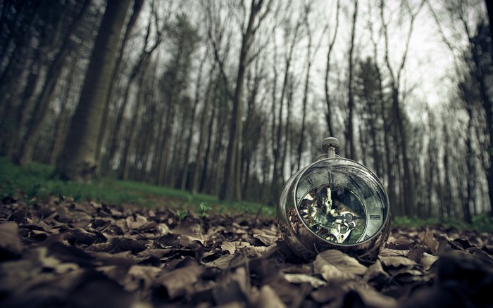 Pocket watch in a forest on fallen leaves